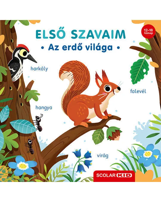 Elso_szavaim_Az_erdo_vilaga.jpg