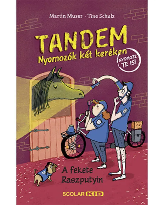 Tandem2.jpg