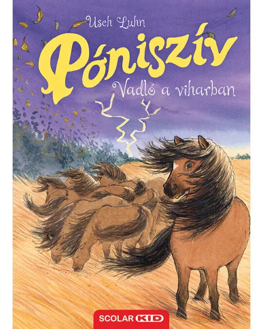Ponisziv14.jpg