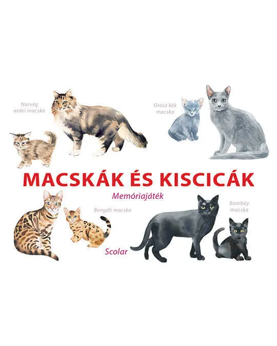 Macskak%2520es%2520kiscicak.jpg