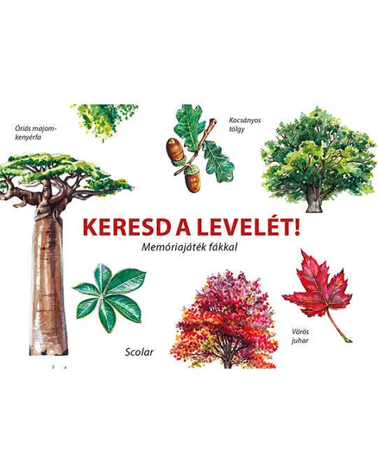 Keresd_a_levelet.jpg