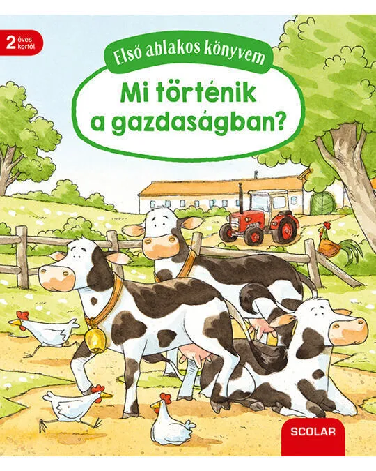 Elso_ablakos_konyvem_Mi_tortenik_a_gazdasagban.jpg