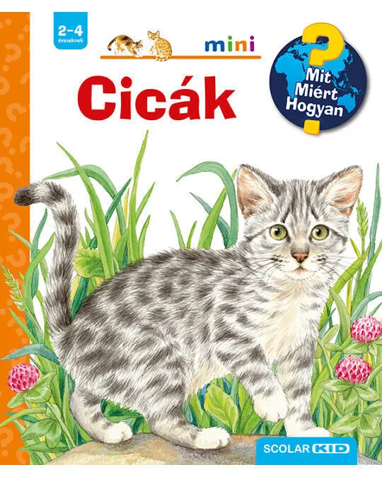 Cicak.jpg