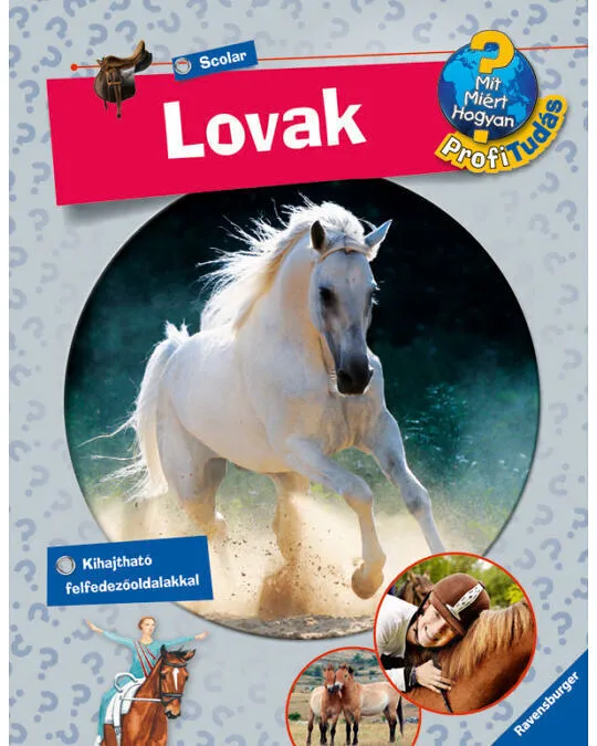 Ravens_ProfiTudas_Lovak.jpg