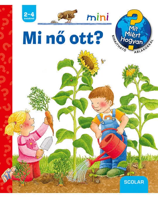 Mi_no_ott.jpg
