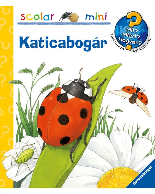 Katicabogar.jpg