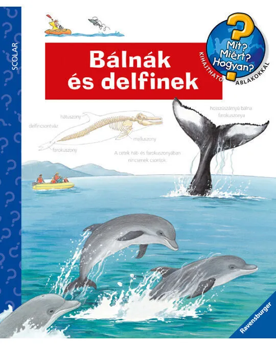 Balnak_es_delfinek.jpg