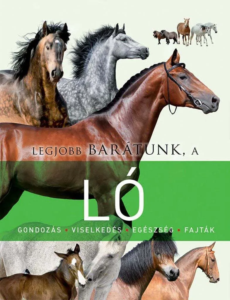 4esn23dlewp43wmoskfnzhkfwyparh2drlbdwrkp_cover.jpeg