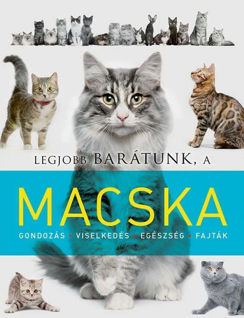 a6anb7m2r07ifgo4oz2mrqazravuaoak3yqslsgi_cover.jpeg