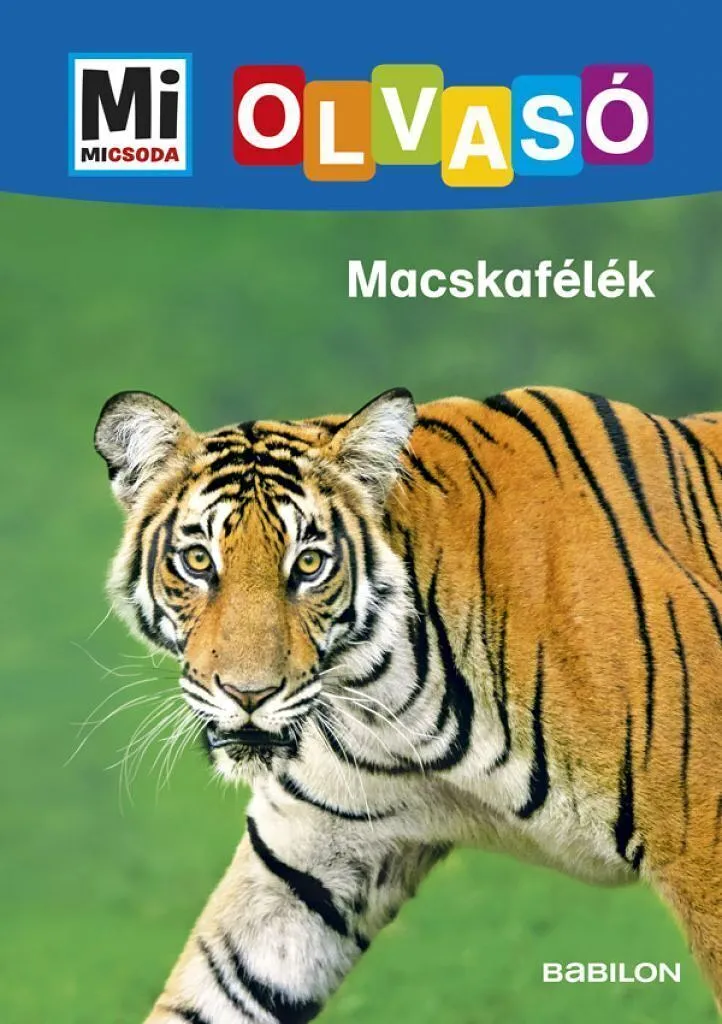 5tmy1rjpvyu44o0kktcqp8cwogvna3pqjibsr6ro_cover.jpeg