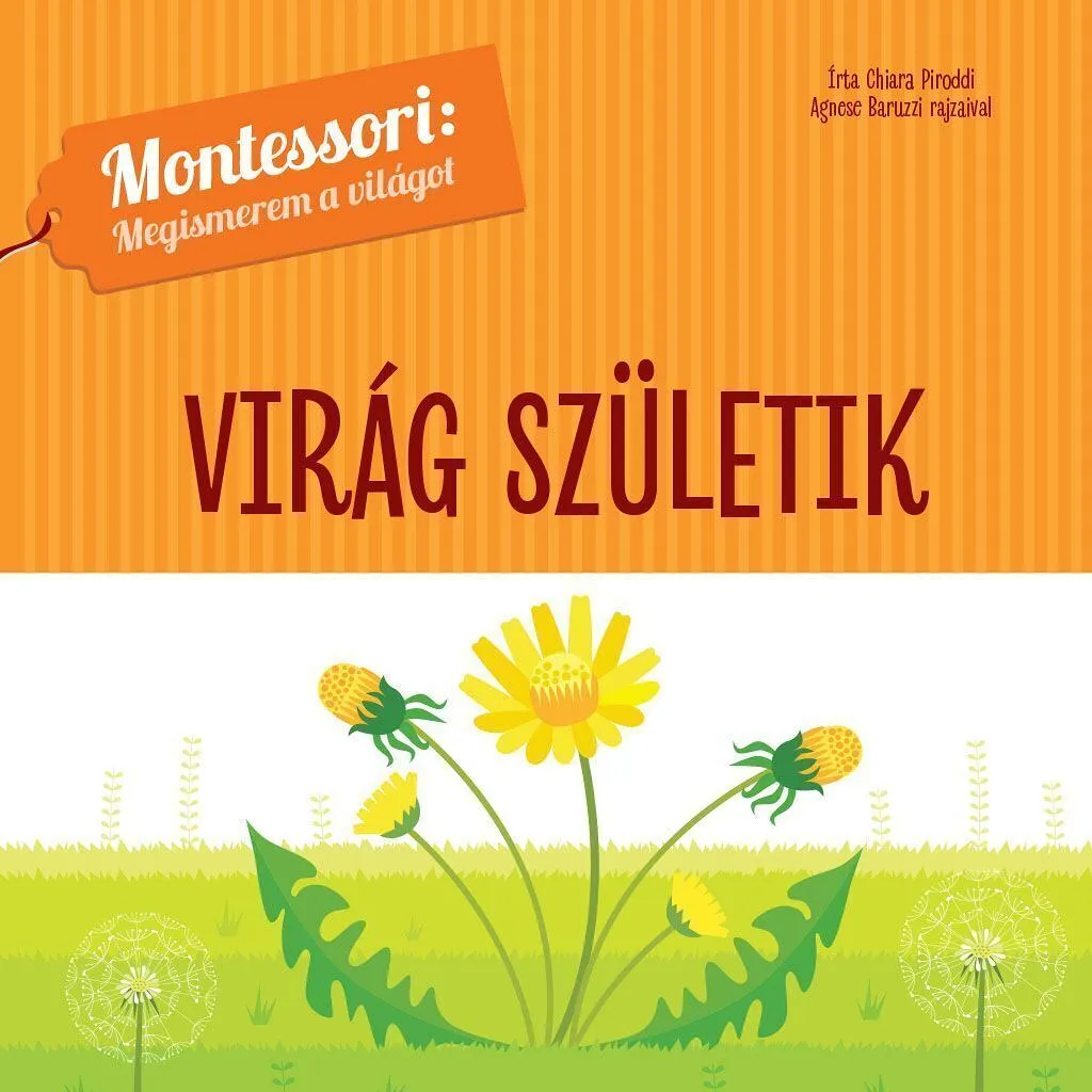 viragborb1_cover.jpg