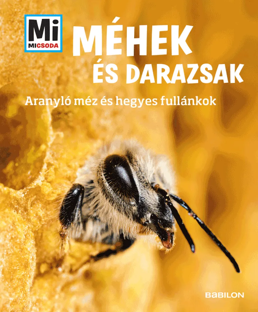 fhqwahcbspqh4ywcdcpjbeezrpqwp8nvvdsv4kyc_cover.png