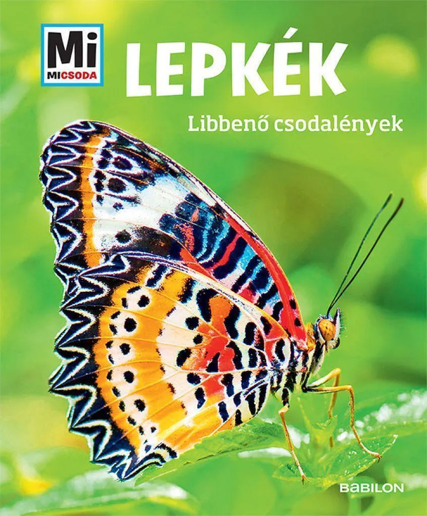 1yx8j1caclojnp0bvvtbzi0zm70mdrinzepkjiwl_cover.jpeg