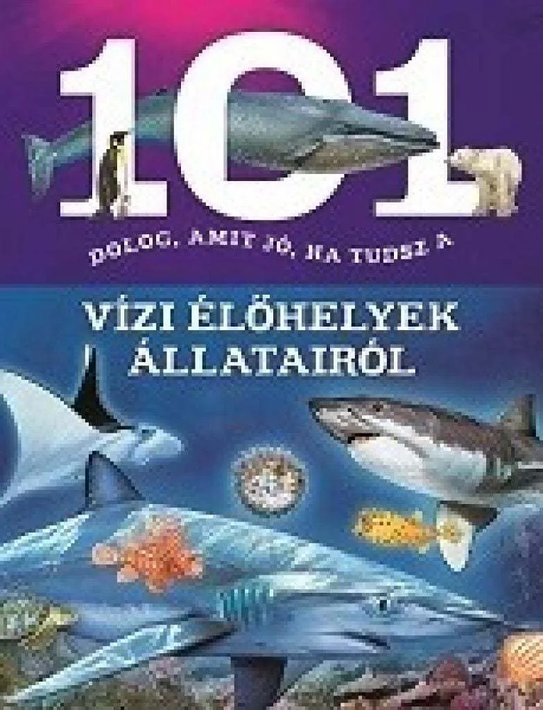 rrijdbqulhd7gtdc2a97yb0ei7t8amnitjlruwsk_cover.jpeg