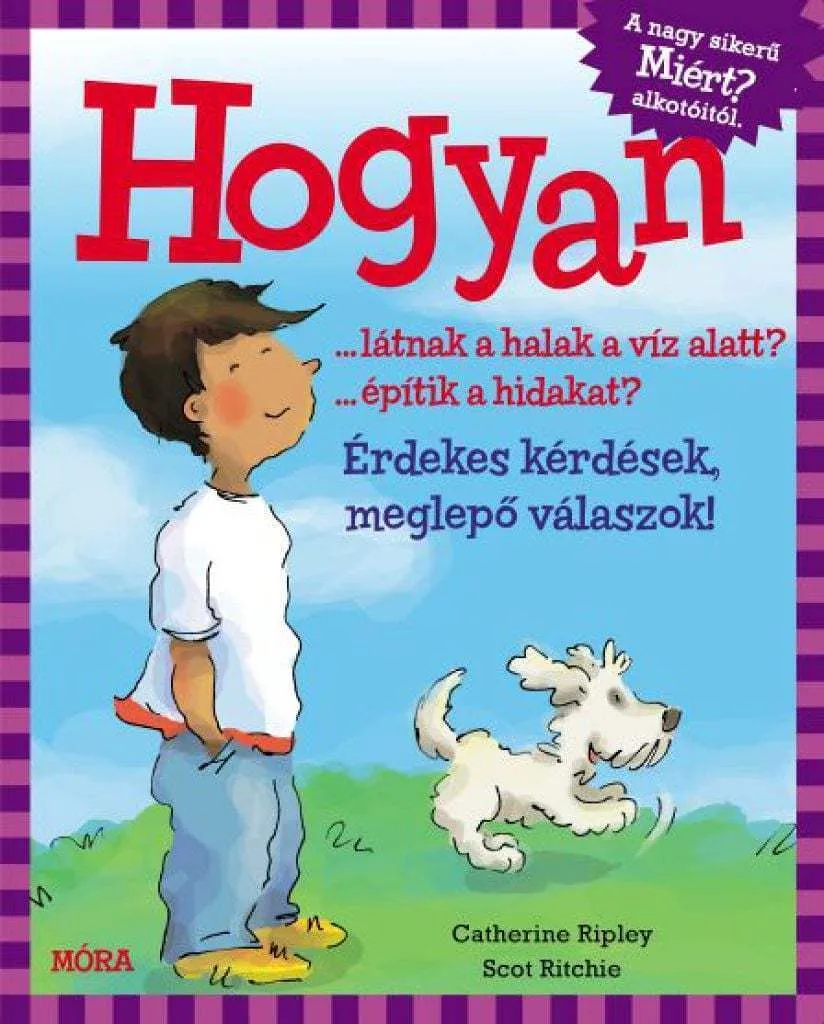 r5j90xq9902ujdkmr3g6qjzvtfg1hdjniaduasl3_cover.jpeg
