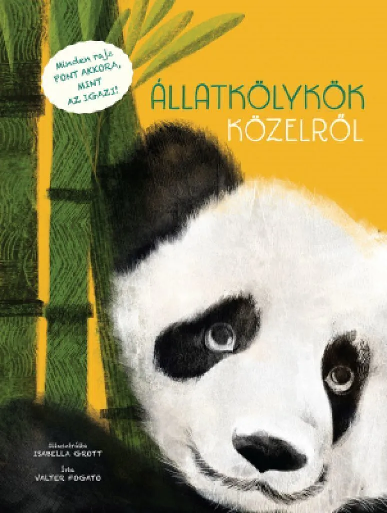 llatklykk_kzelrl_400_cover.jpg