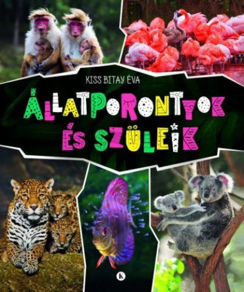 ivzqpbijdjpd0ar9srockgyhbla5vij2ut2bqrxb_cover.jpeg