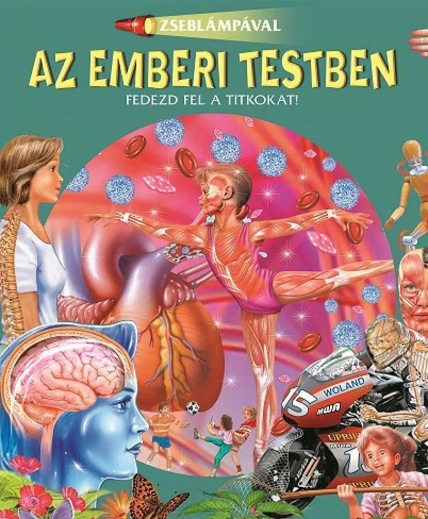 ipatj15n20isrk2znup1wxxp6qt6rhv3wehznrgj_cover.jpeg