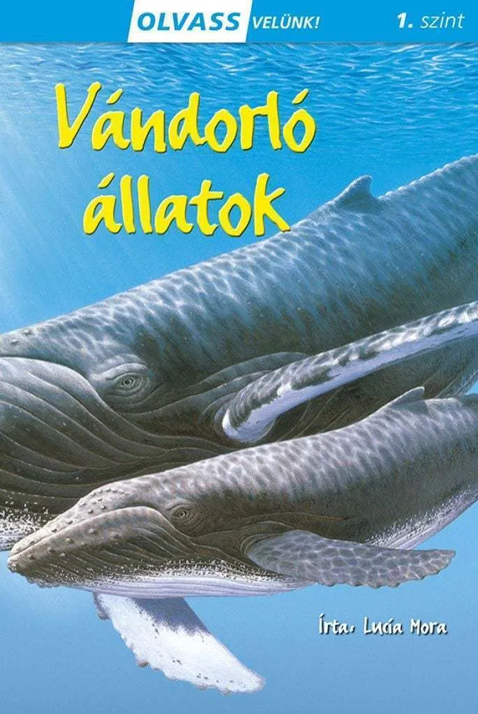 9789634830917_cover.jpg