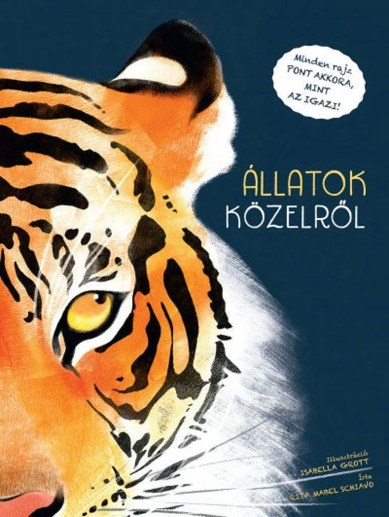 allatok_kozelr__l_cover.jpg