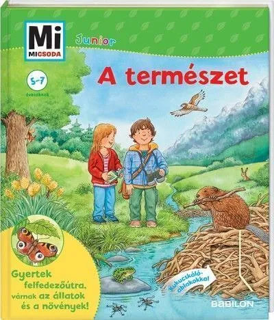 a-20term-c3-a9szet.jpg