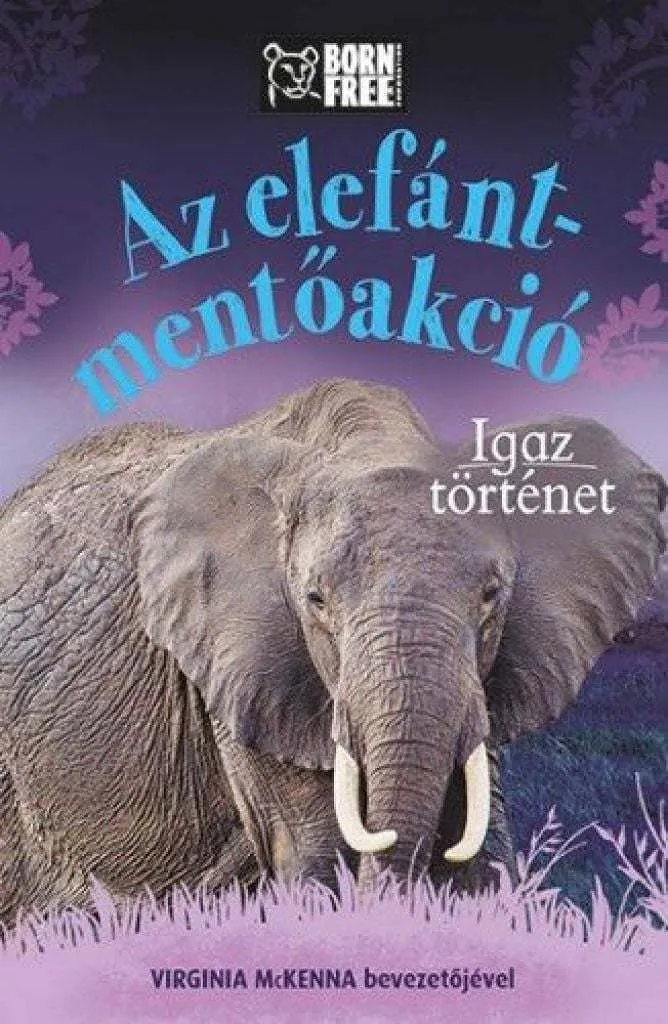 bornfreefanib1_rgb72dpi_cover.jpg
