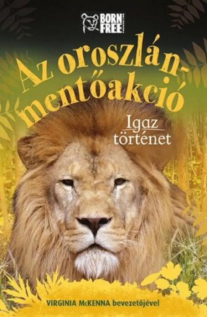 bornfreeorszlanb1_rgb72dpi_cover.jpg
