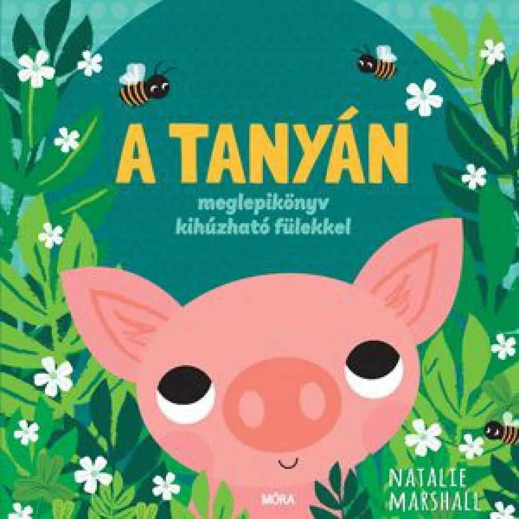meglepikonyv_a_tanyan_cover.jpg