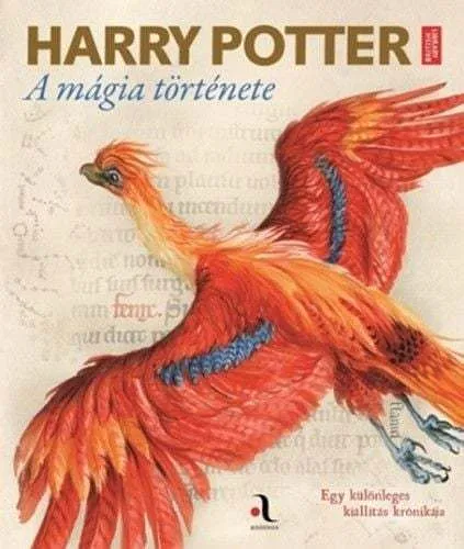 harry-20potter-20-c3-a9s-20a-20m-c3-a1gia.jpg