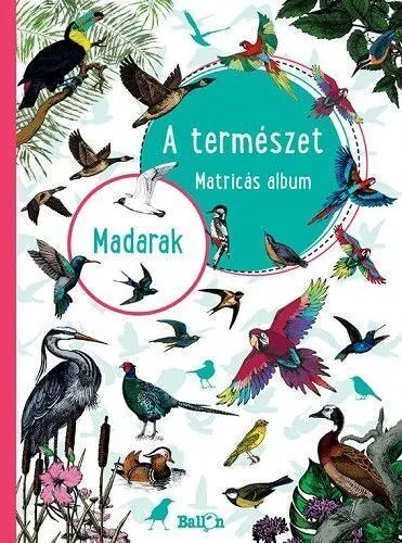 a-20term-c3-a9szet-20-20madarak.jpg