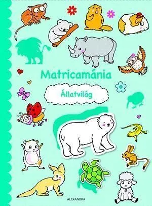 matricam-c3-81nia-20-20-c3-81llatvil-c3-81g.jpg