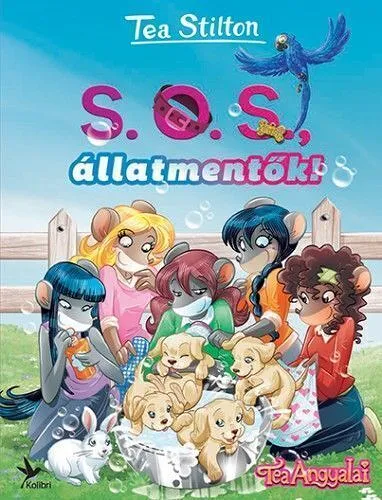 s-o-s-2c-20-c3-a1llatment-c5-91.jpg