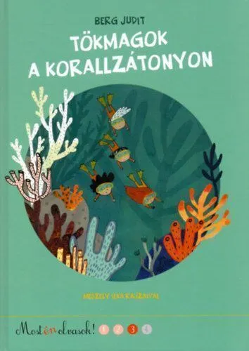 t-c3-b6kmagok-20a-20korallz-c3-a1tonyon.JPG