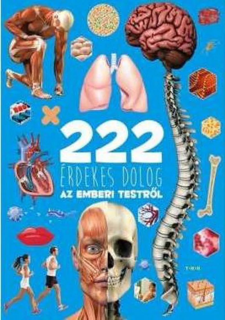 222_erdekes_dolog_az_emberi_testrl_cover.jpg