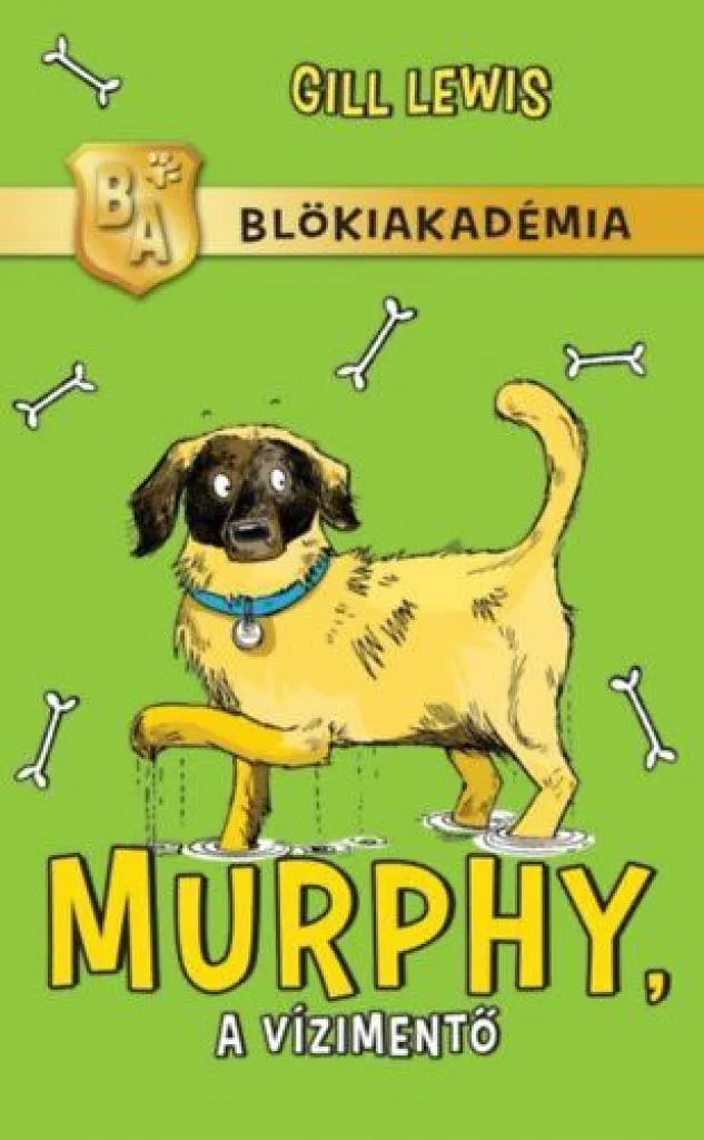 murphy_a_viziment_-_blokiakademia_cover.JPG
