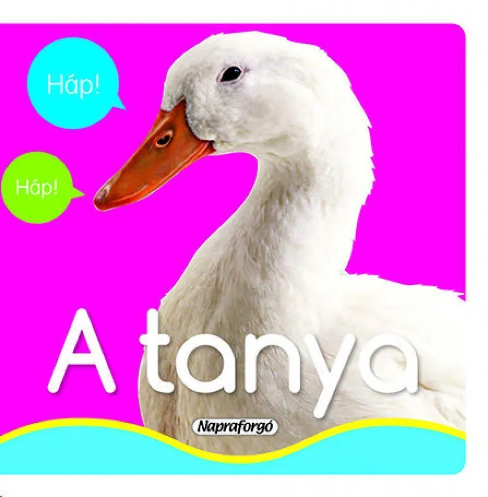 9789634459576_a_kicsi_elso_szavai_tanya_kicsi_cover.jpg