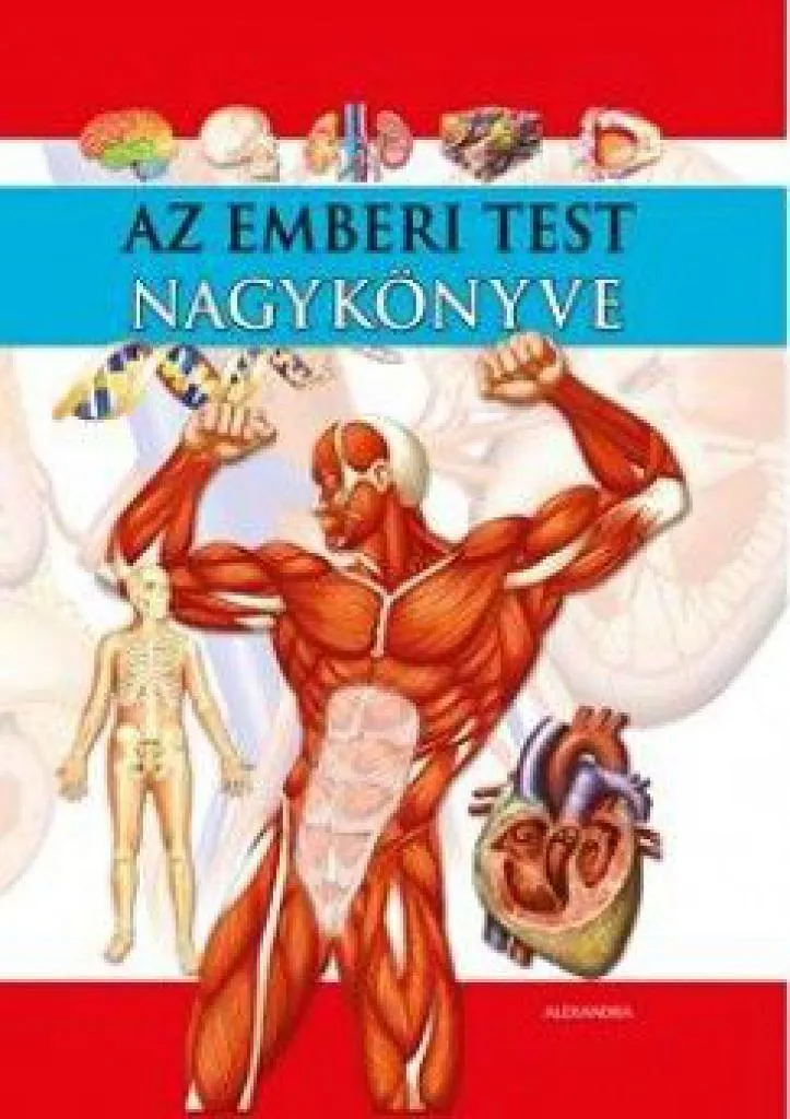az_emberi_test_nagykonyve_cover.jpg