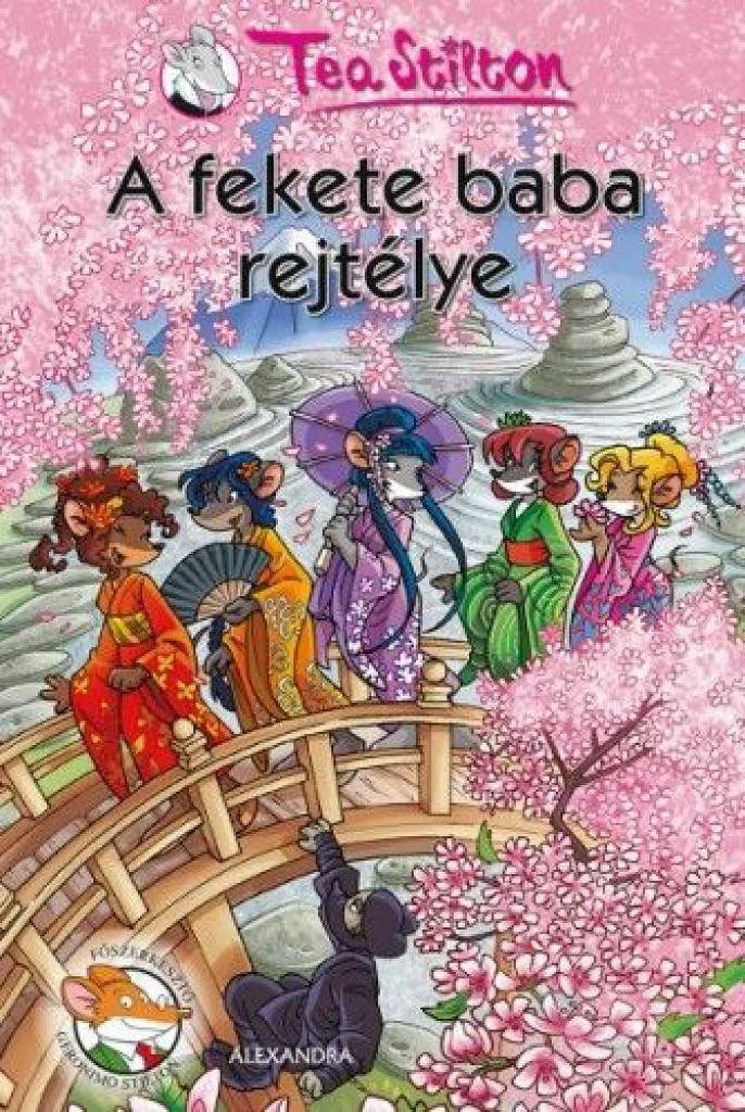 a_fekete_baba_rejtelye_cover.jpg