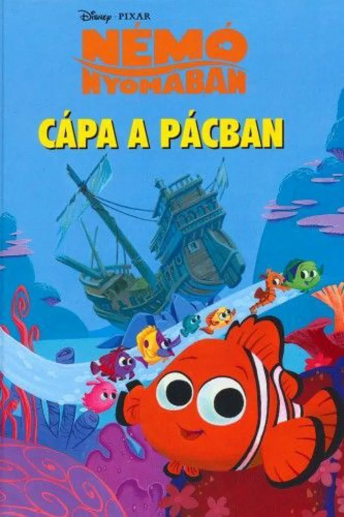 cipa_a_picban_cover.jpg