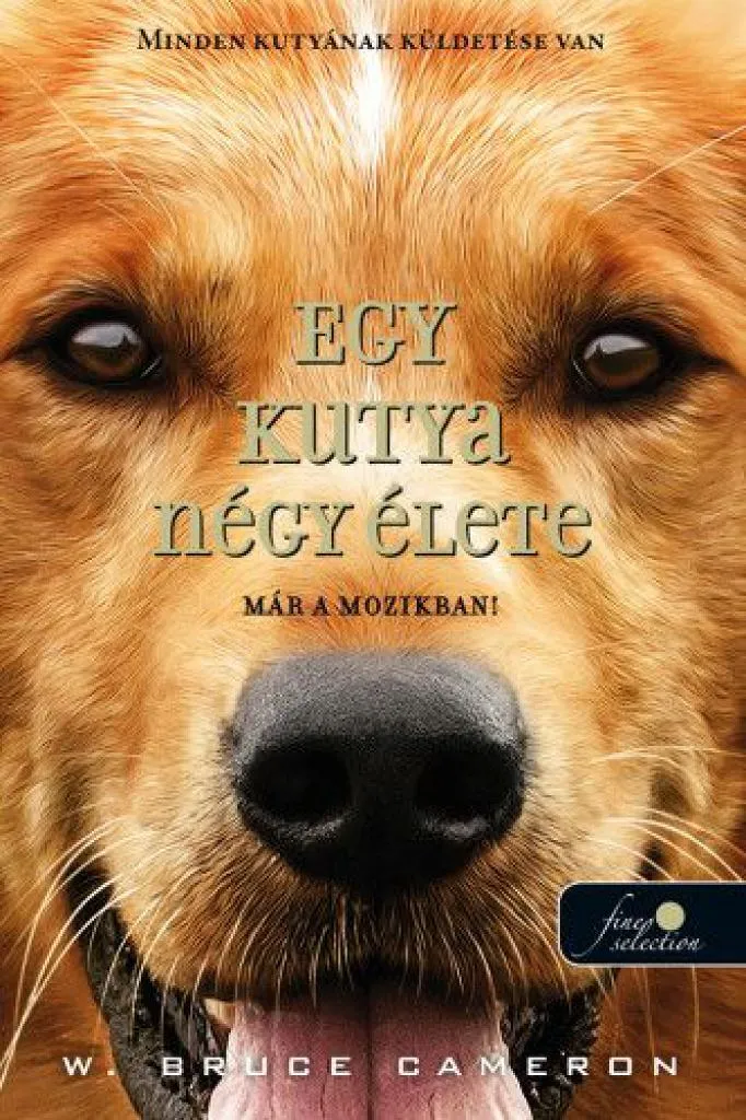 egykutyanegy_elete_cover.jpg