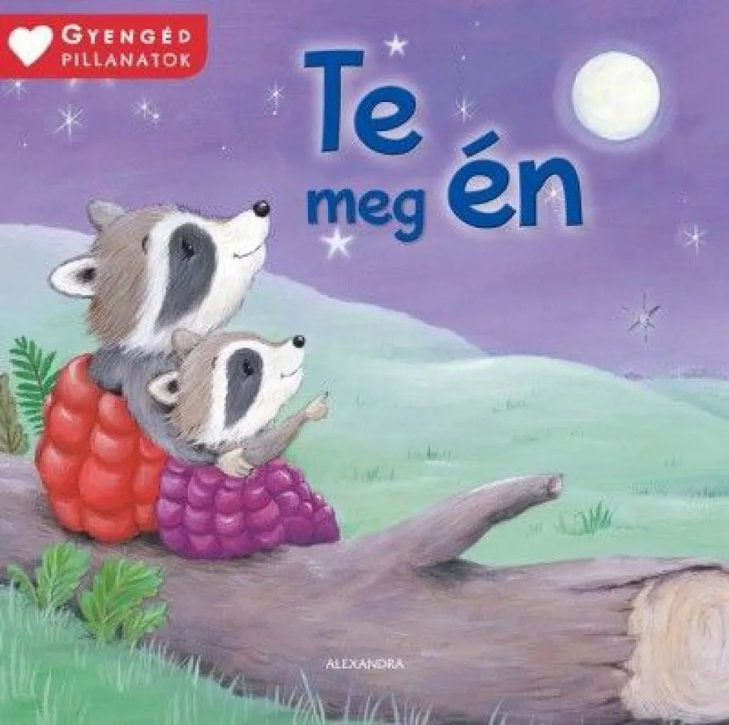 te_meg_en_cover.jpg
