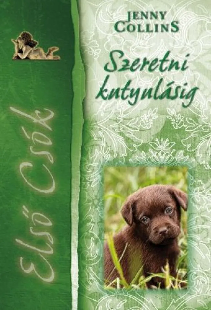0384_b1_cover.jpg