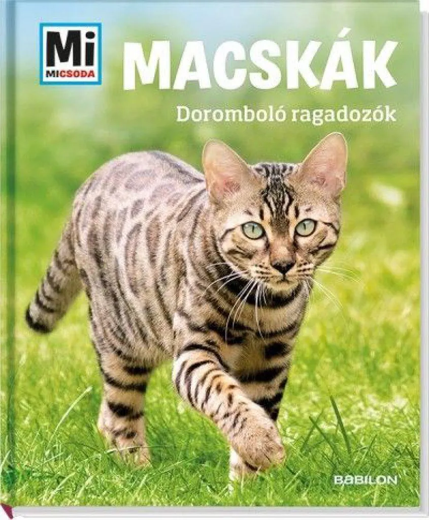 macskak_-_dorombolo_ragadozok_cover.jpg