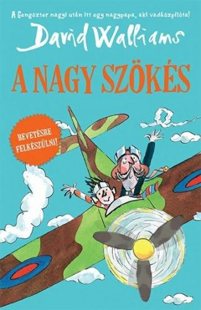 a_nagy_szokes_cover.jpg