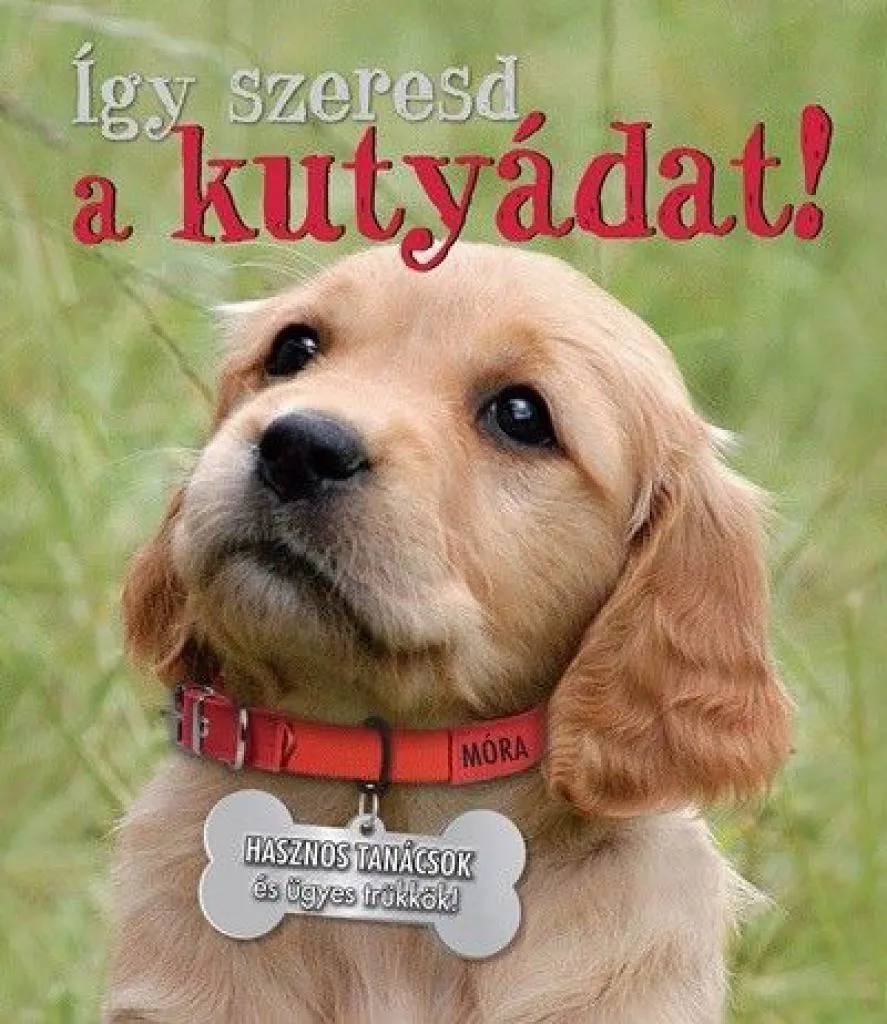igyszeresdakutyadat_cover.jpg