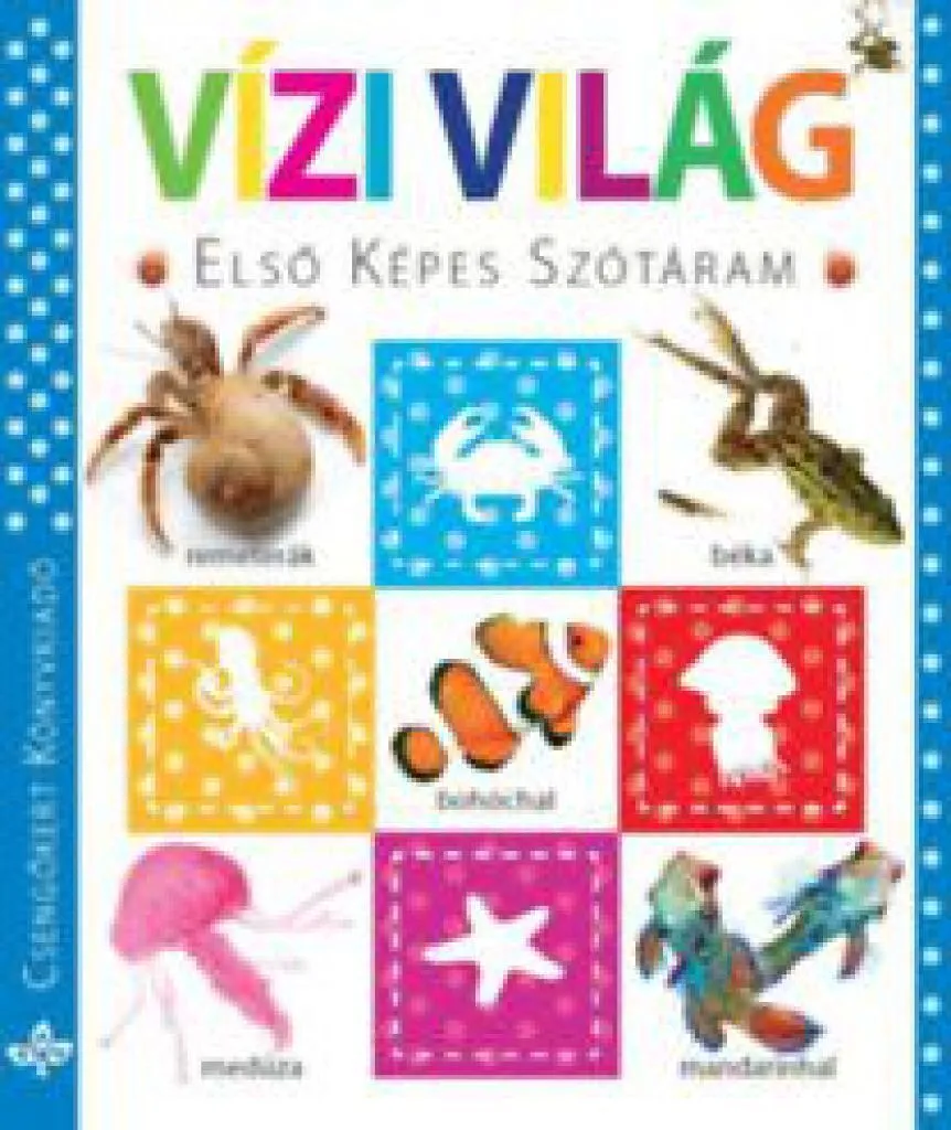 vizi_vilag_cover.JPG