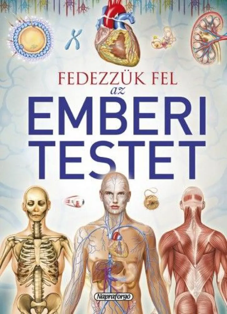tudastar_-_fedezzuk_fel_az_emberi_testet_cover.jpg
