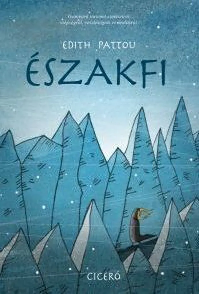 eszakfi_cover.jpg