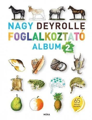nagy_deyrolle_foglalkoztato-2.jpg