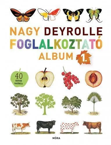 nagy_deyrolle_foglalkoztato-1.jpg